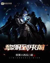 黎明到来前章节列表