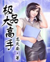 极品大高手章节列表
