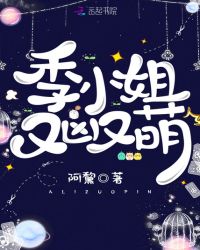 季小姐又凶又萌章节列表