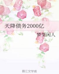天降债务2000亿章节列表