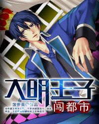 大明王子闯都市章节列表