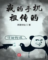 我的手机祖传的章节列表