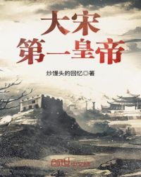 大宋第一皇帝章节列表