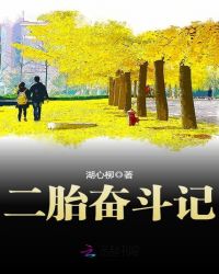 二胎奋斗记章节列表