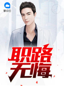 职路无悔章节列表