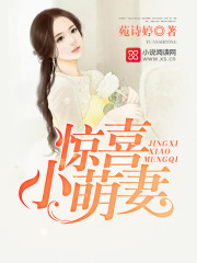 惊喜小萌妻章节列表