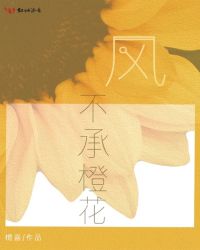 风不承橙花章节列表