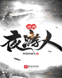 神洲夜游人章节列表