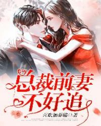 总裁前妻不好追章节列表