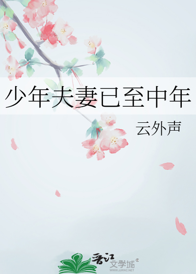 少年夫妻已至中年章节列表