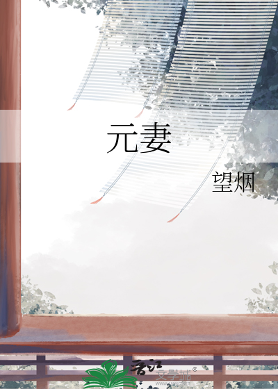 元妻章节列表