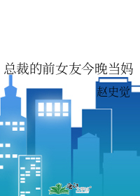 总裁的前女友今晚当妈章节列表