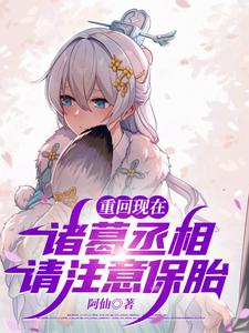 重回现在：诸葛丞相，请注意保胎章节列表