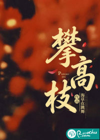 攀高枝章节列表
