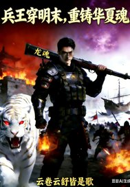 兵王穿明末：重铸华夏魂章节列表