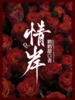 情岸章节列表