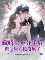 藏娇七年分手后，被顶级大佬抢疯了章节列表