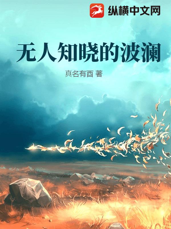 无人知晓的波澜章节列表