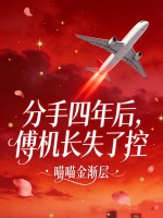 分手四年后，傅机长失了控章节列表