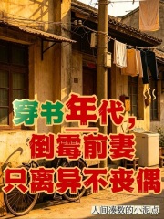 穿书年代，倒霉前妻只离异不丧偶章节列表