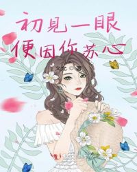 初见一眼便因你苏心章节列表