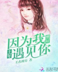 十年：因为我刚好遇见你章节列表