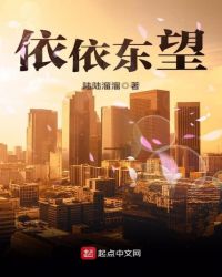 依依东望章节列表