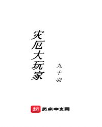 灾厄大玩家章节列表