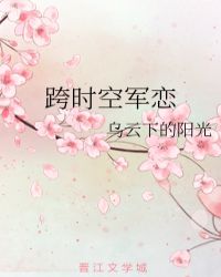 跨时空军恋章节列表