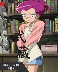 宠物小精灵之武藏章节列表