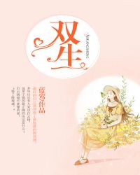 双生章节列表