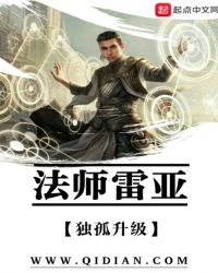 法师雷亚章节列表