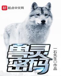 兽灵密码章节列表