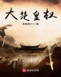 大楚皇权章节列表