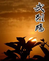 武烈殇章节列表