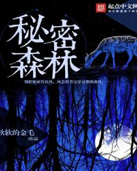 秘密的森林章节列表