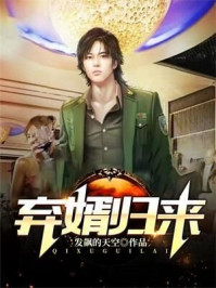 弃婿归来章节列表