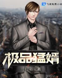 极品猛婿章节列表