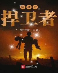 抗战之捍卫者章节列表