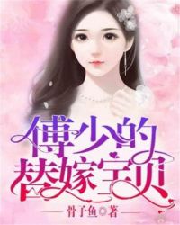 傅少的替嫁宝贝章节列表