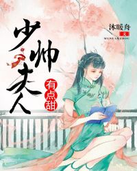 少帅夫人有点甜章节列表