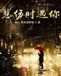 悲伤时遇你章节列表