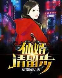 仙婿请留步章节列表