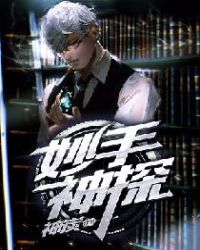 妙手神探章节列表