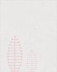 神医重生：农门掌家小厨娘章节列表