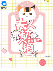 萌宝来袭：夫人劫个婚章节列表