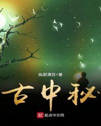 古中秘章节列表