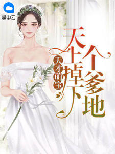 叶南汐秦枭寒章节列表