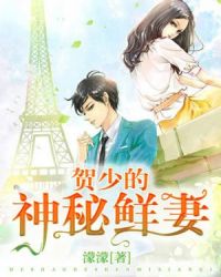 贺少的神秘鲜妻章节列表
