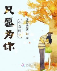 只愿为你不负时光章节列表